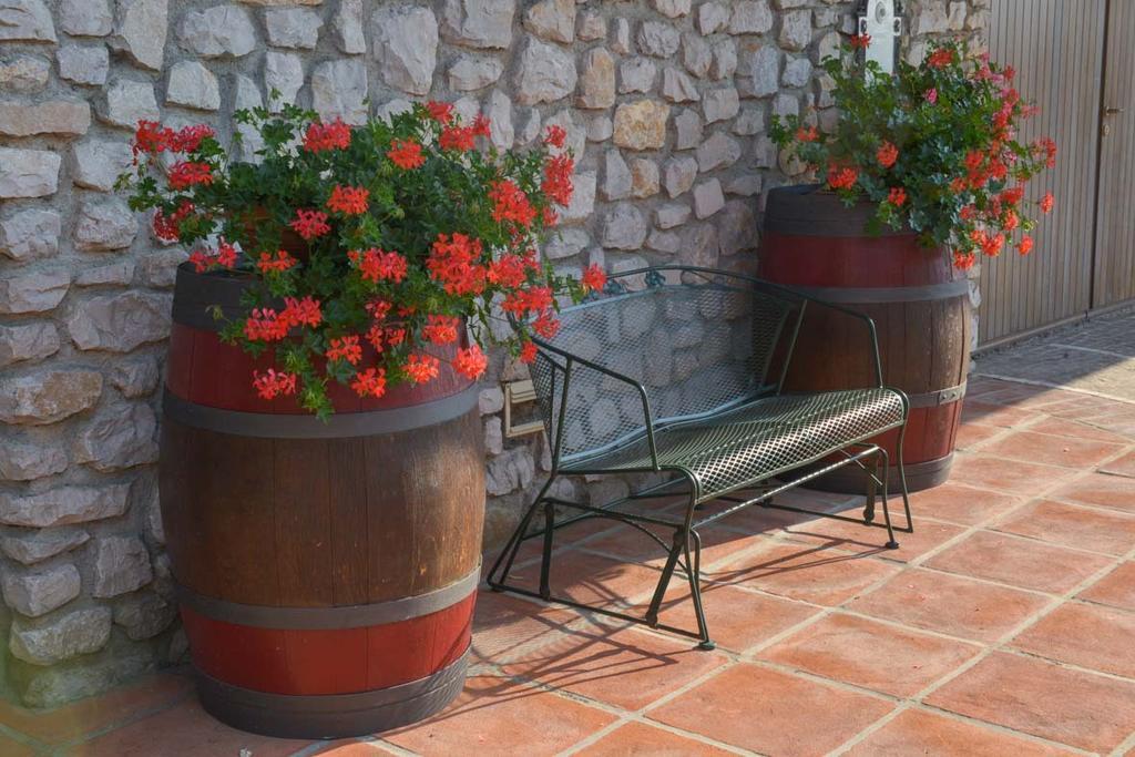 Agriturismo Kogoj Medea Exterior photo